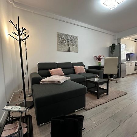 Angela Nordic Apartment. Szucsáva Kültér fotó