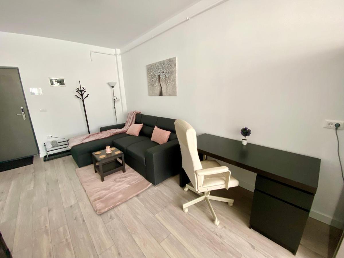 Angela Nordic Apartment. Szucsáva Kültér fotó