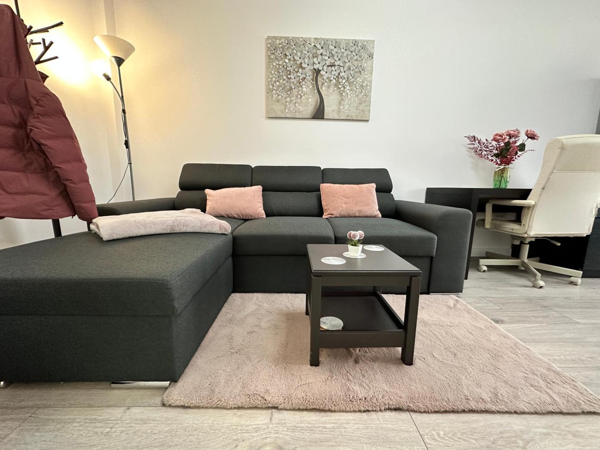 Angela Nordic Apartment. Szucsáva Kültér fotó