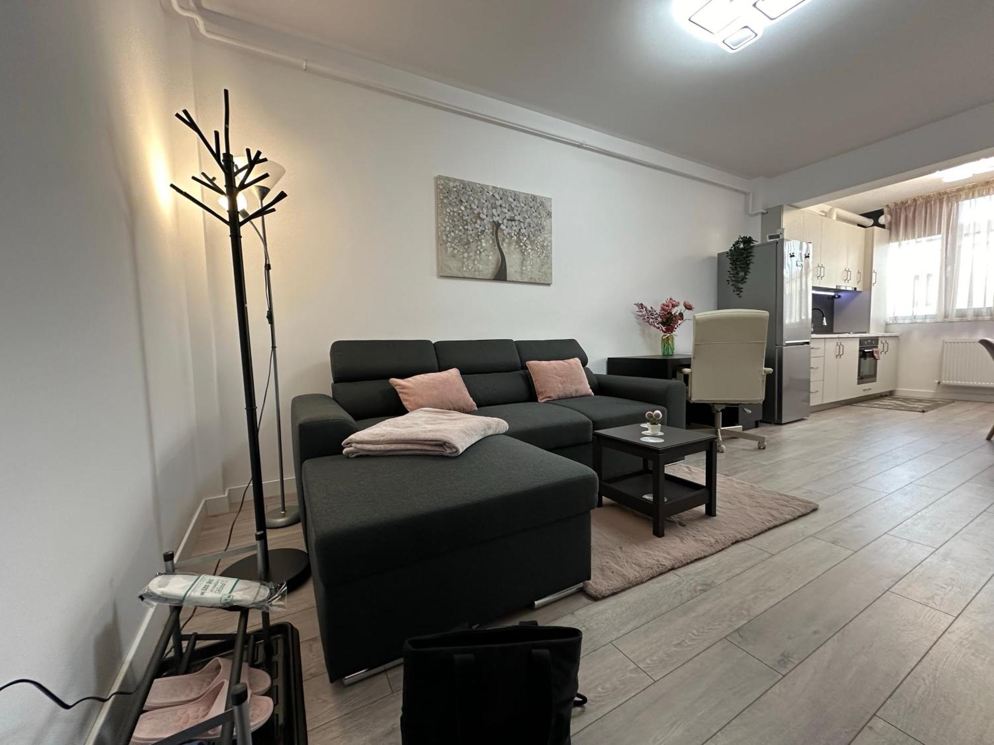 Angela Nordic Apartment. Szucsáva Kültér fotó